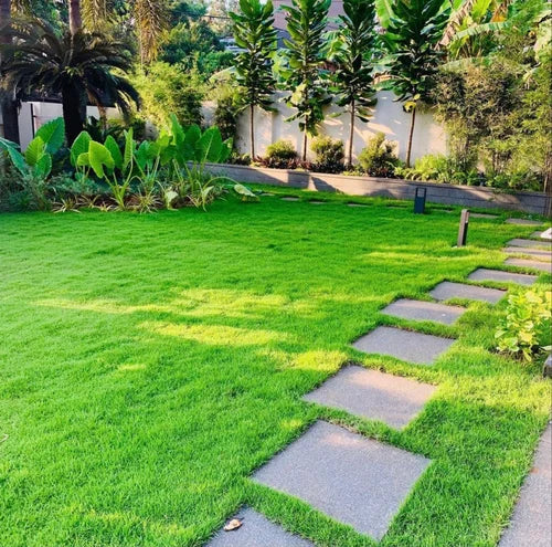 farm-house-landscape-500x500 - Royal Parks Landscaping