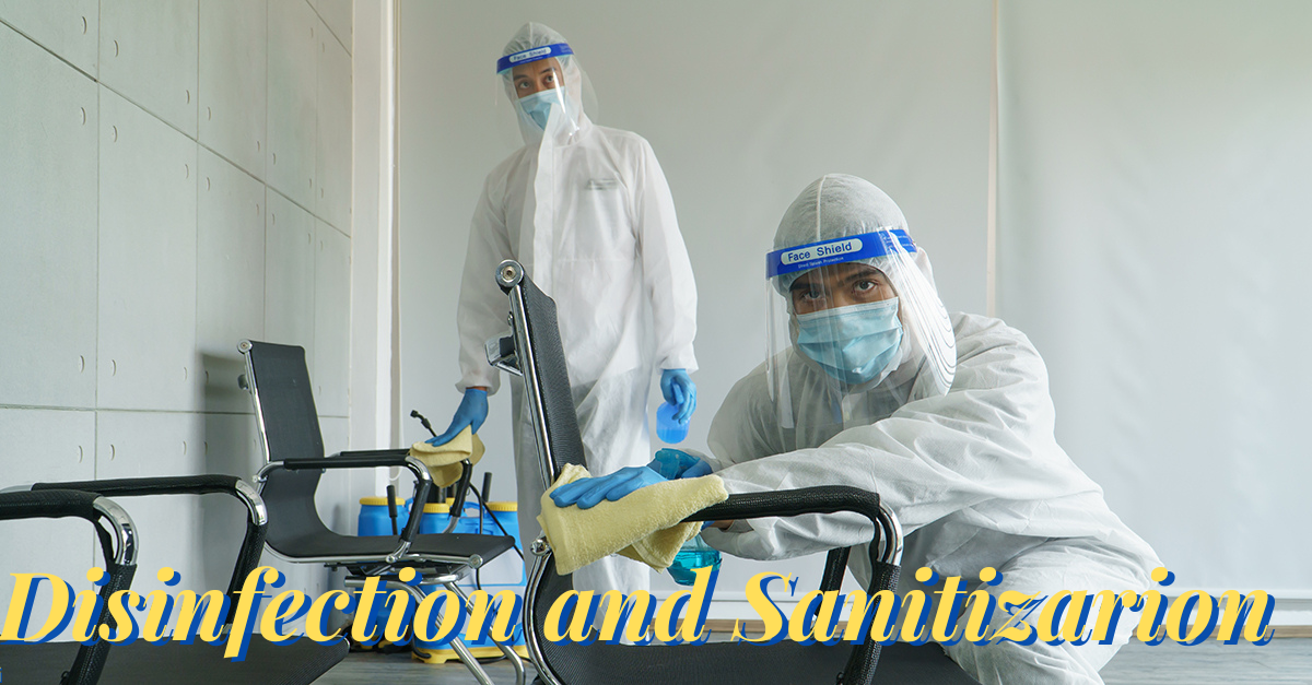 i - Royal Parks Landscaping