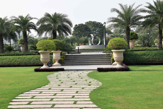 Affordable Landscaping in Dubai - Royal Parks Landscaping