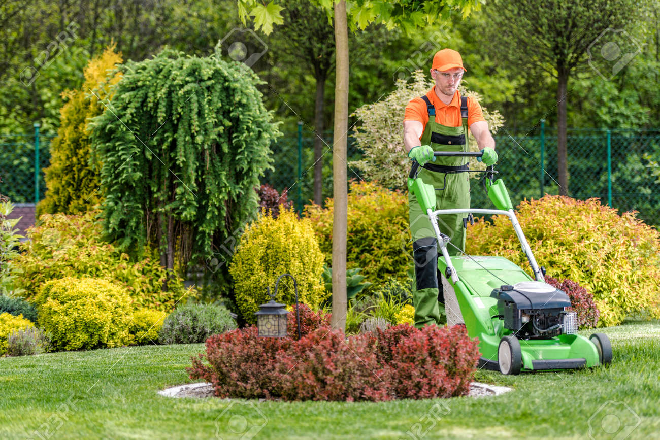 Grass Mowing Sun Arabian Ranches