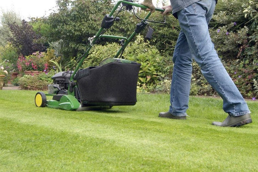 Grass Mowing in Dubai - Royal Parks Landscaping 