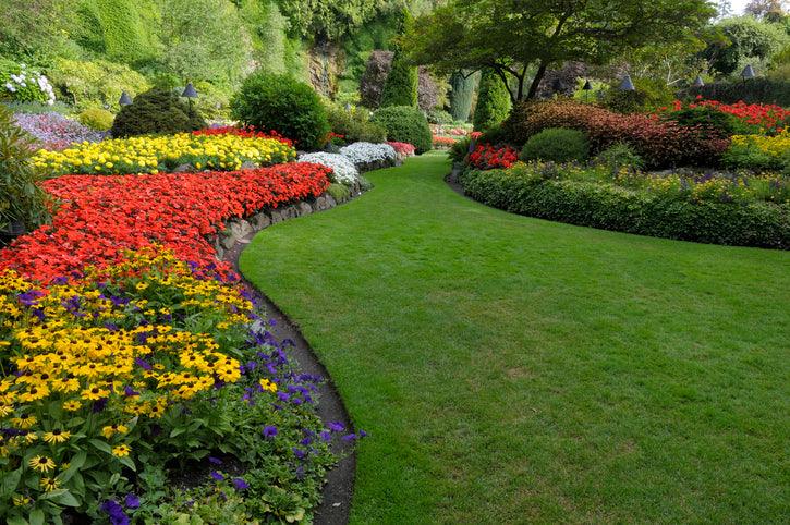 Grass Cutting in Dubai - Royal Parks Landscaping 