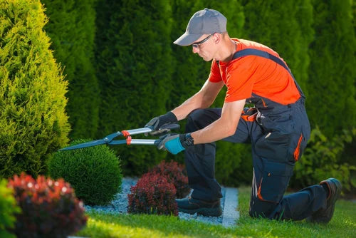Villa Landscaping in Jumeirah Golf Estate