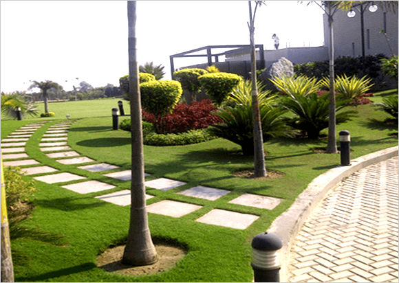 Garden Cutting Service Dubai - Royal Parks Landscaping 