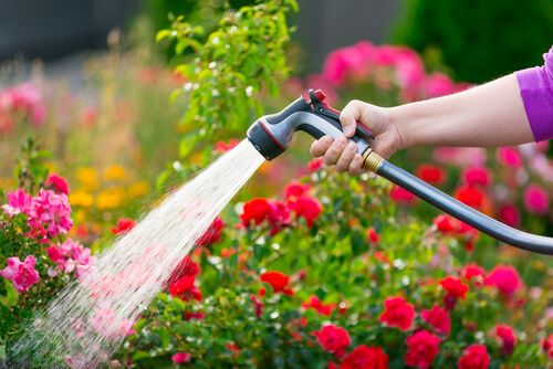 Villa Landscaping in Raya Arabian Ranches