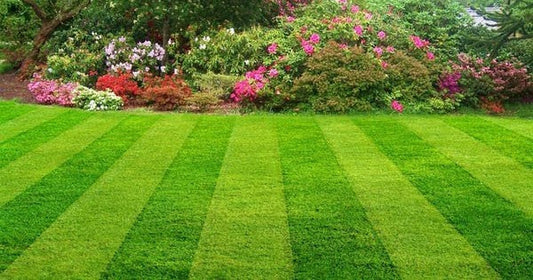 Villa Landscaping Meydan