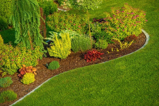 Villa Landscaping in Joy Arabian Ranches